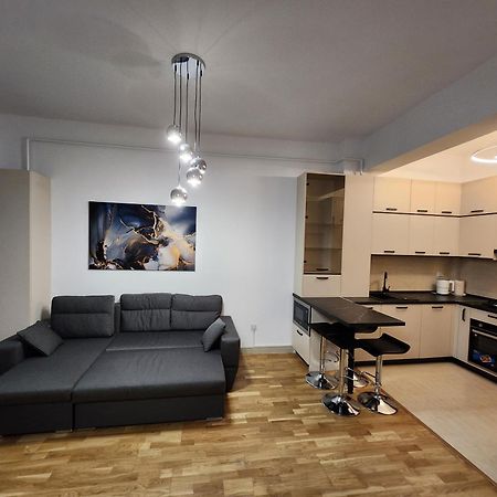 Near Airport 2 Rooms Apartments In Himson Jassy Zewnętrze zdjęcie